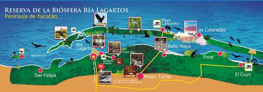 Casa Laguna Lagartos Hotel ริโอ ลาการ์โตส ภายนอก รูปภาพ